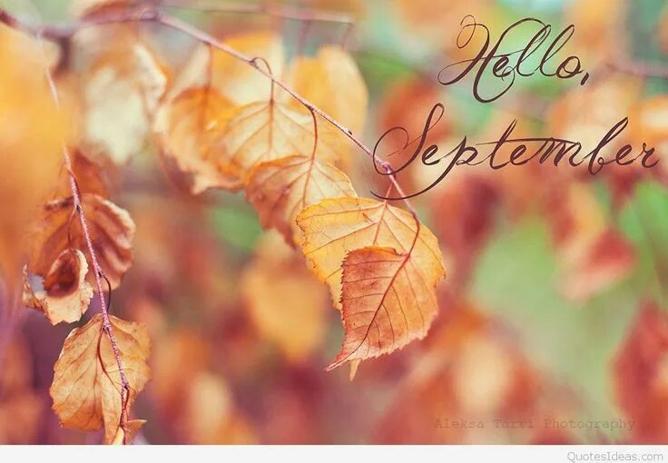 Подписать фото сентябрь Antique Passion Hello september, September pictures, September