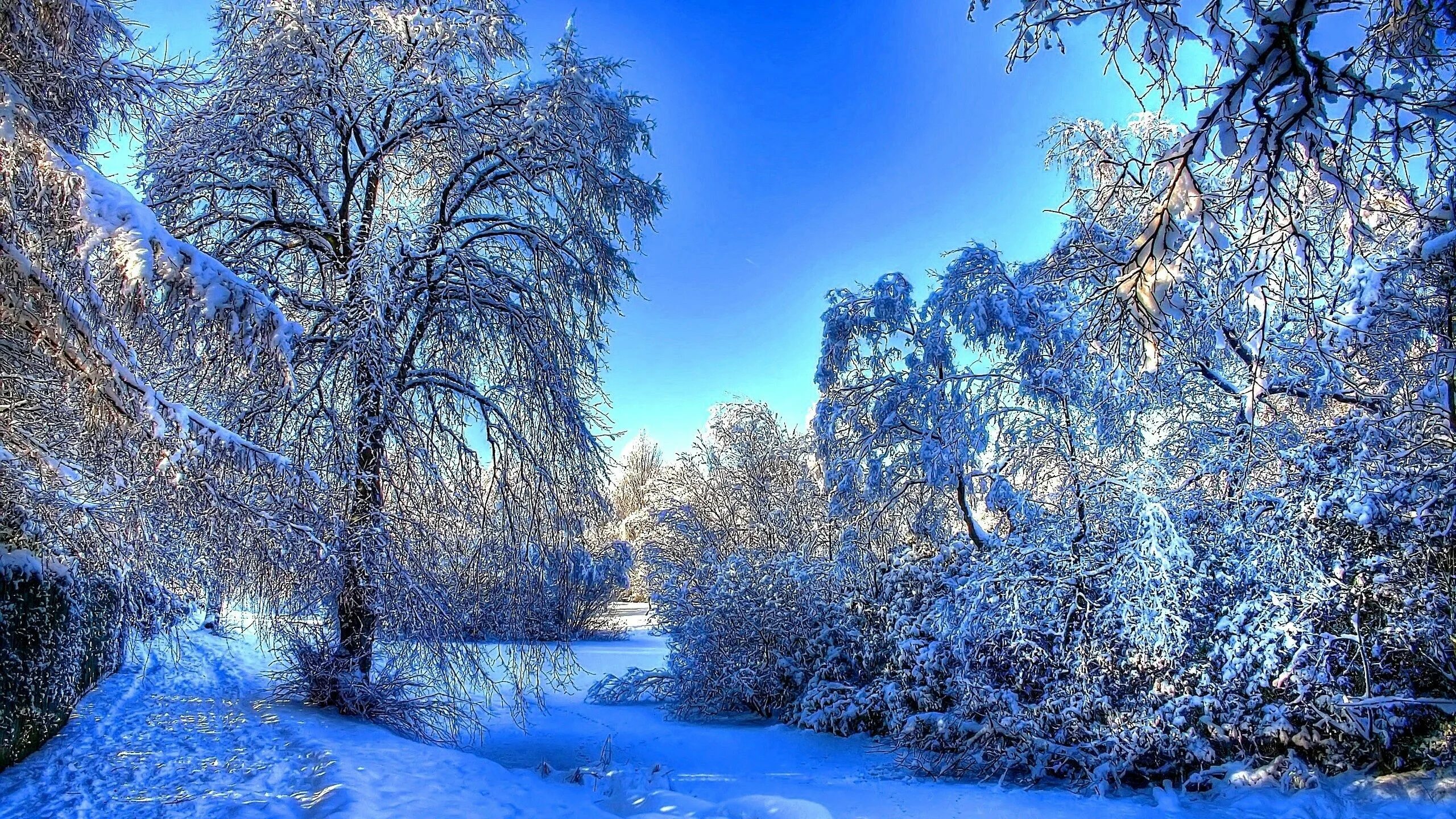 Подписать фото зима Winter landscape, Winter snow wallpaper, Winter wallpaper