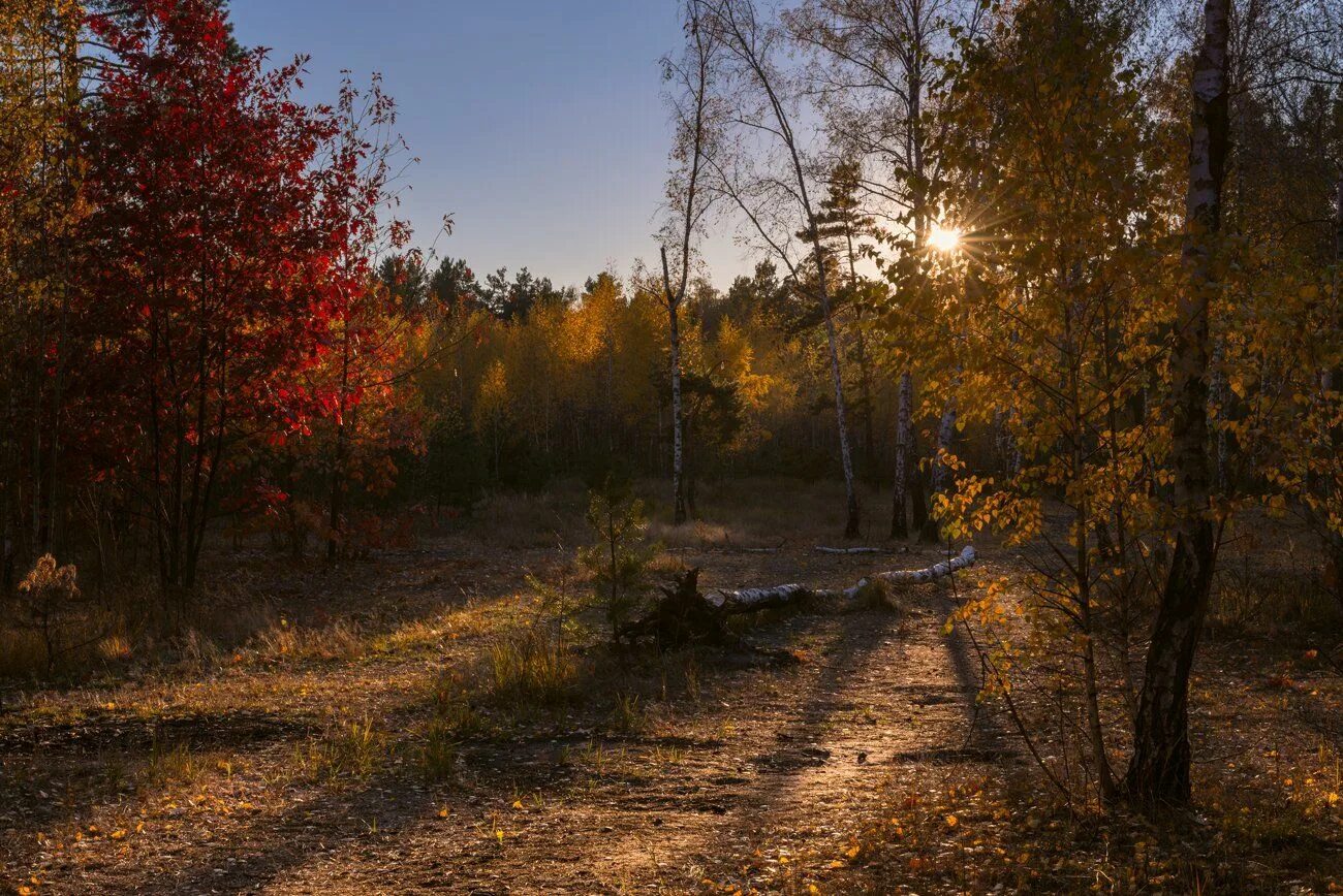 Подпишем фото пост осень лес Догорал осенний вечер. Фотограф Галанзовская Оксана