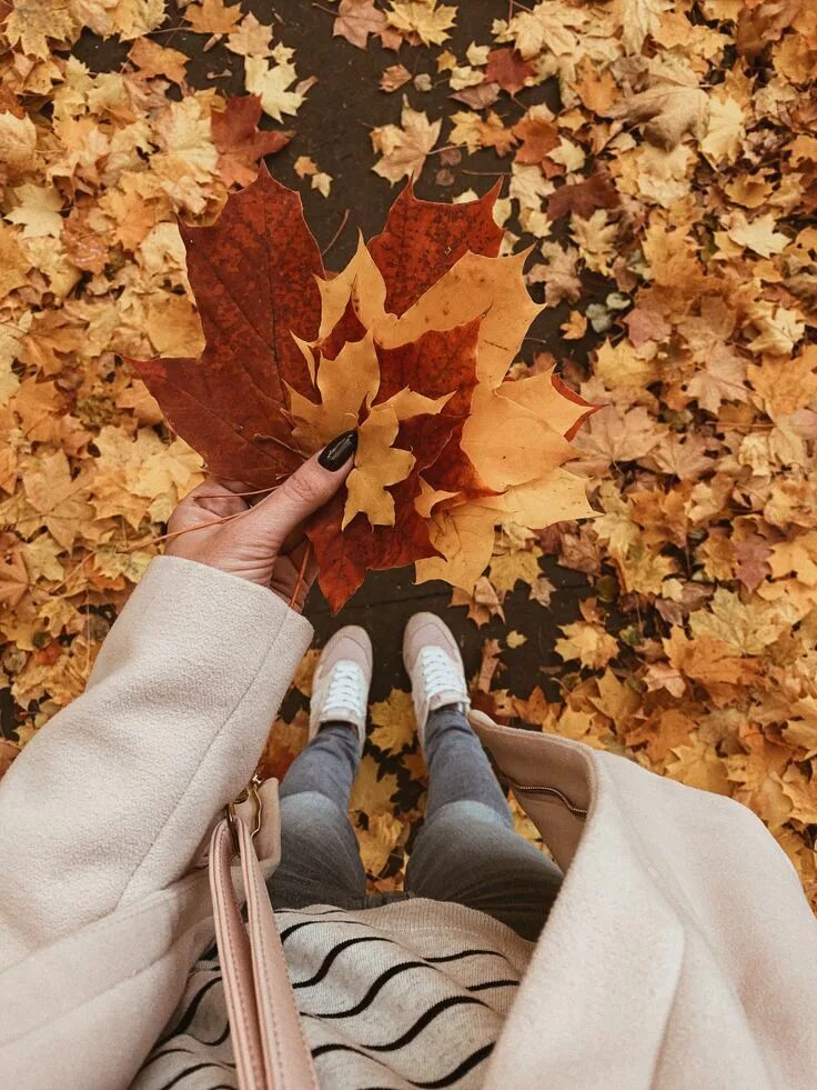 Подписи под фото в инстаграм осень #autumn #autumnfashion #autumncrafts #autumnaesthetic #autumnphotography #осень 