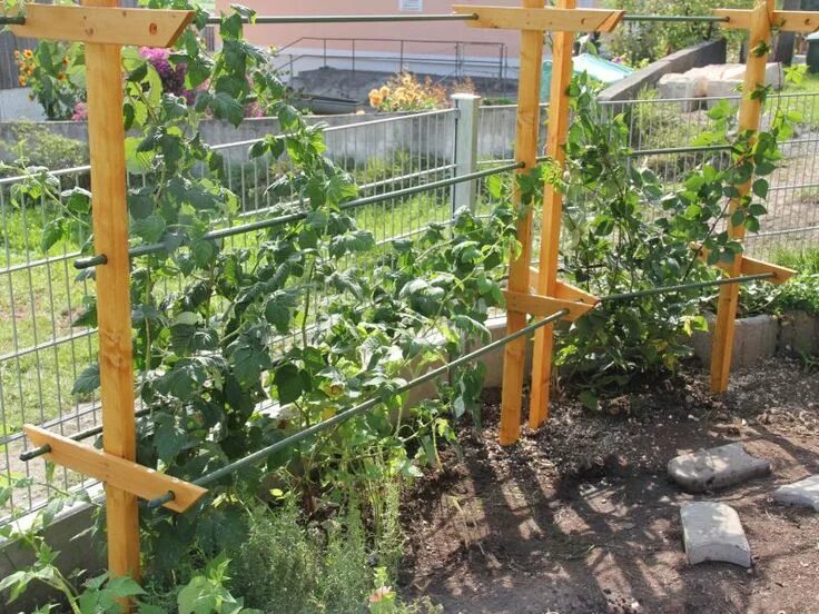 Подпорки для малины фото Rankhilfe Pergola für Himbeeren und Brombeeren - Bauanleitung zum Selberbauen - 