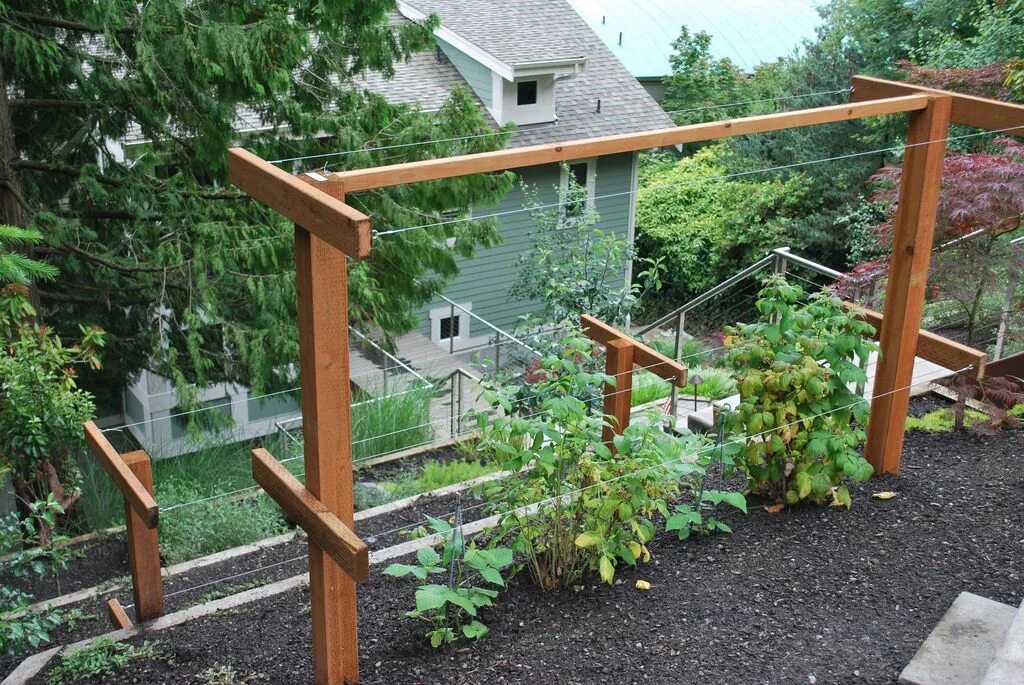 Подпорки для малины своими руками фото Raspberry Trellis Berry garden, Vegetable garden design, Edible garden