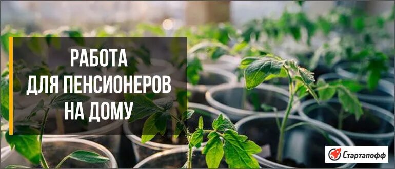 Подработка для пенсионеров на дому без оформления Работа на дому на пенсии: найдено 87 изображений