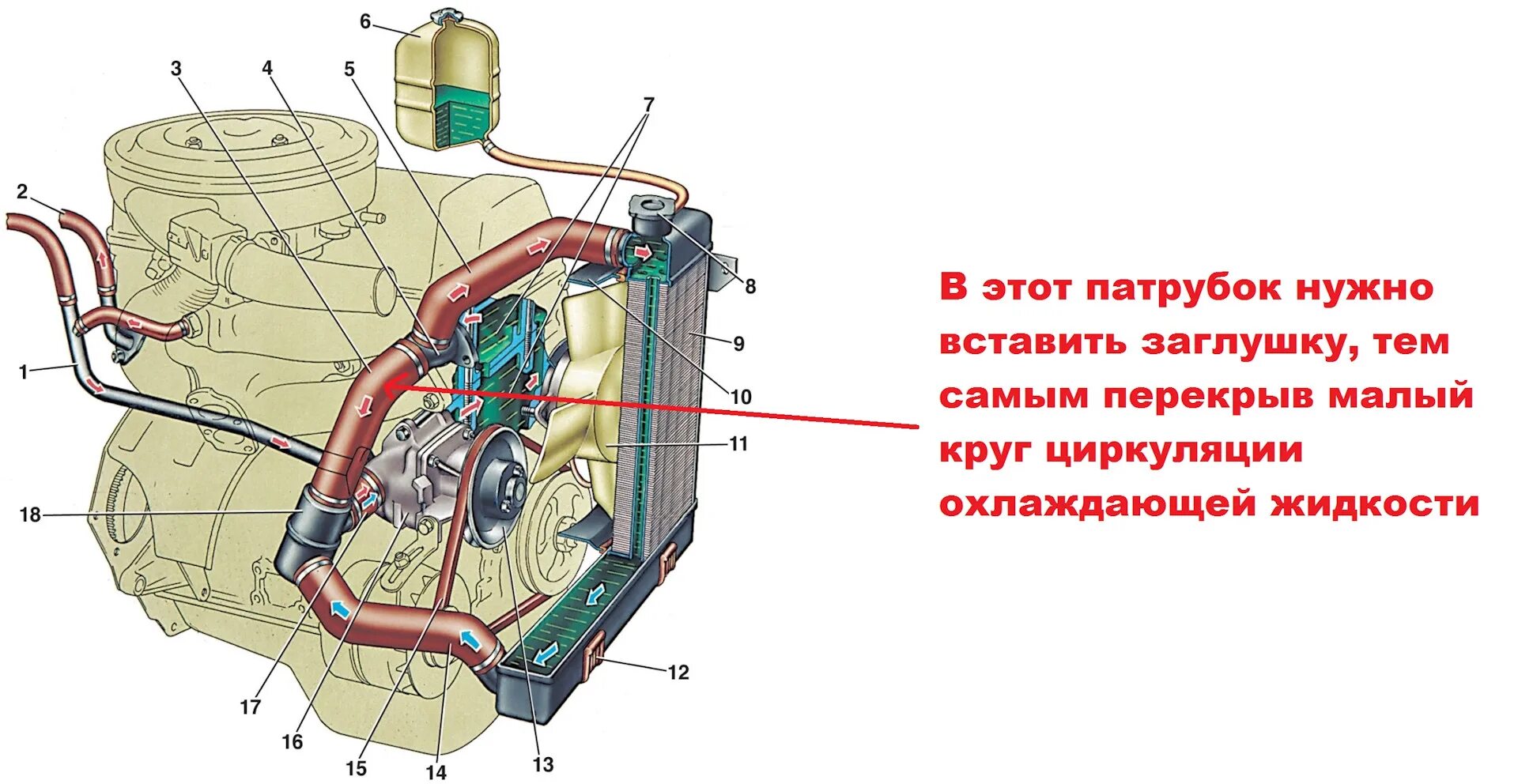 Подробная схема подключения патрубков на ваз 2107 23.) Установка "пустого" термостата. - ИЖ 2126, 1,7 л, 2003 года своими руками D