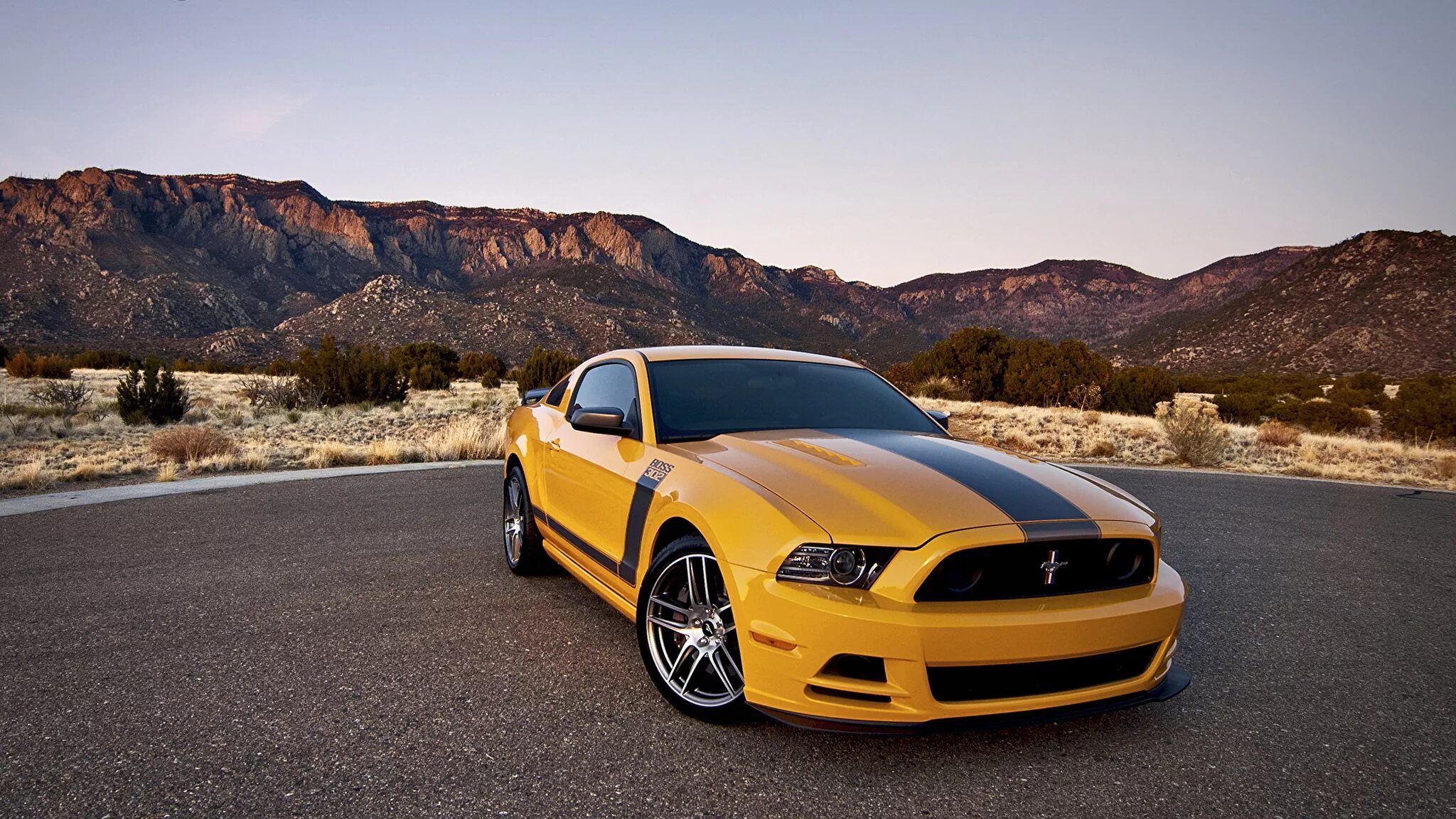 Подробное фото авто Фотографии Ford mustang boss 302 желтая авто 2048x1152