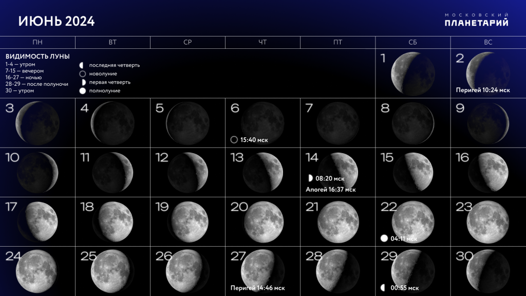 Подробный лунный календарь Полнолуние в июне 2024 года: точная дата и что принесет "клубничная Луна" ЯСНО Д