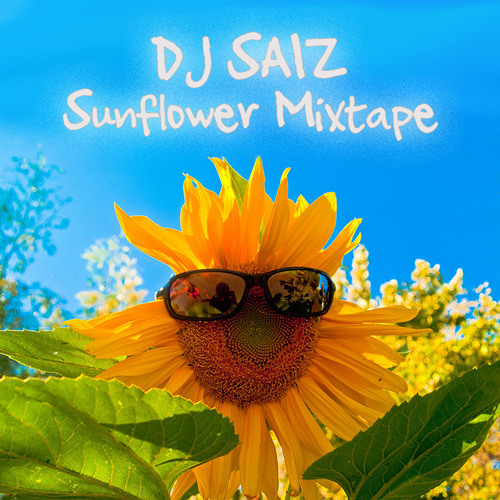 Подсолнух в очках фото Listen to Sunflower Mixtape by Dj Saiz in mixes playlist online for free on Soun