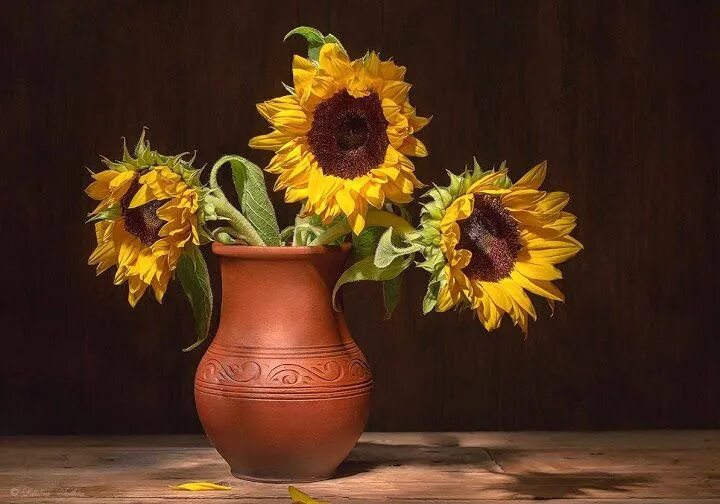 Подсолнухи в вазе фото Pin on Sunflowers Beautiful nature pictures, Painting inspiration, Beautiful nat