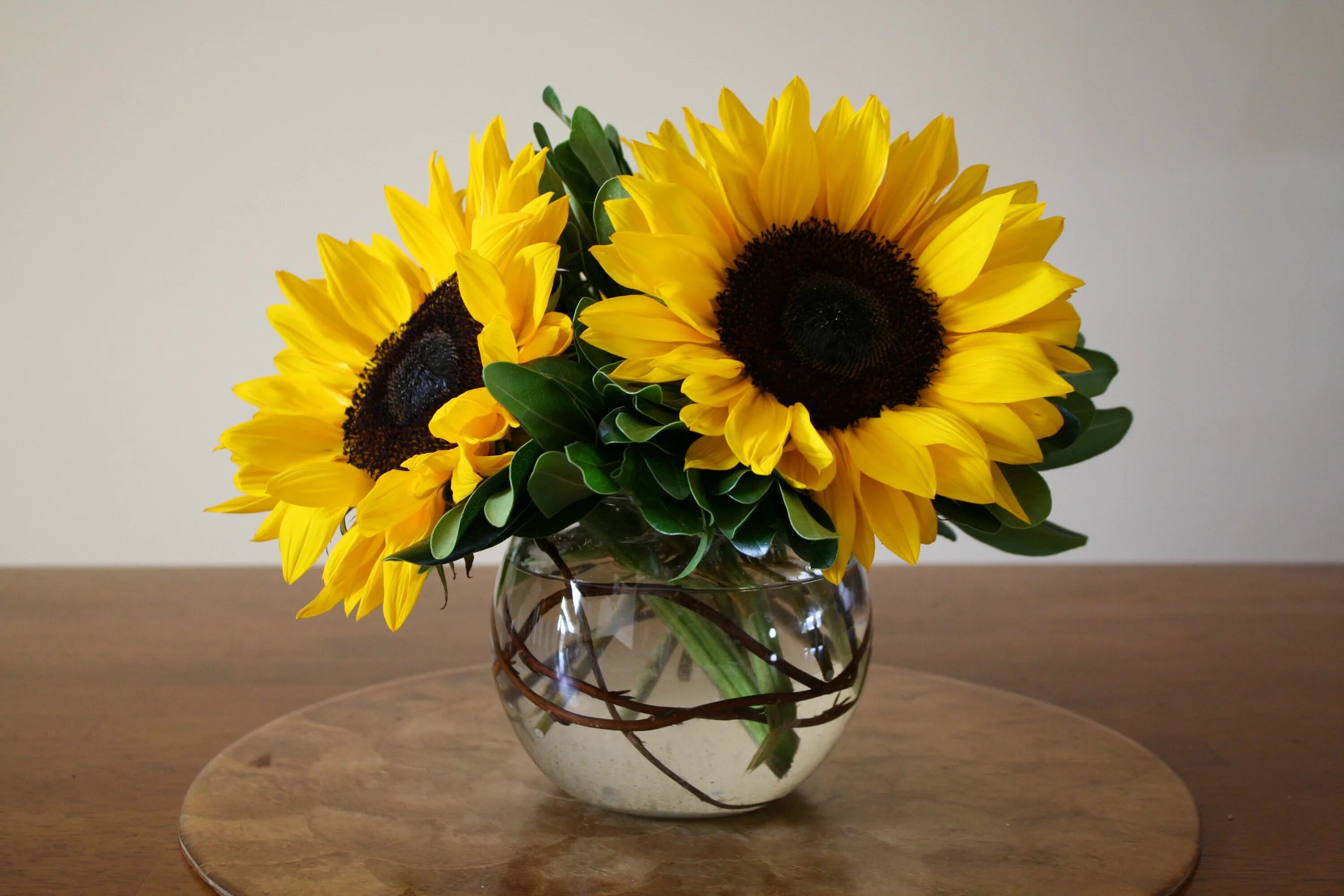 Подсолнухи в вазе фото Friday Five: Sunflower bouquet, Brahmin Instagram prize, In Style fall issue, En