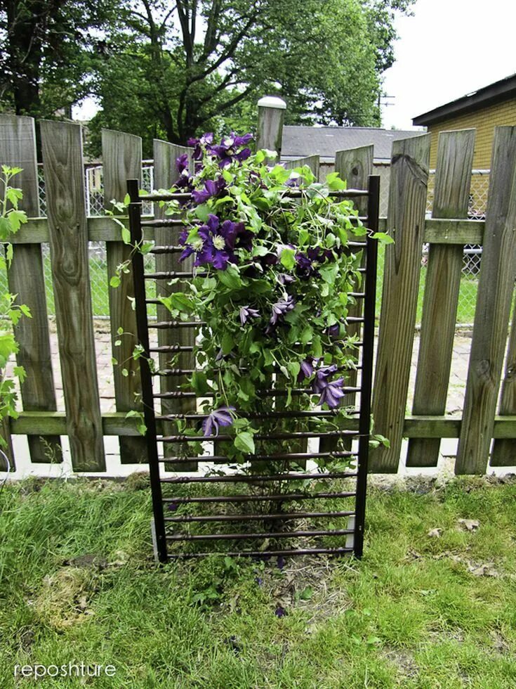 Подставка под клематис фото 10 DIY Garden Trellises That Cost Less Than $20 Diy garden trellis, Clematis tre