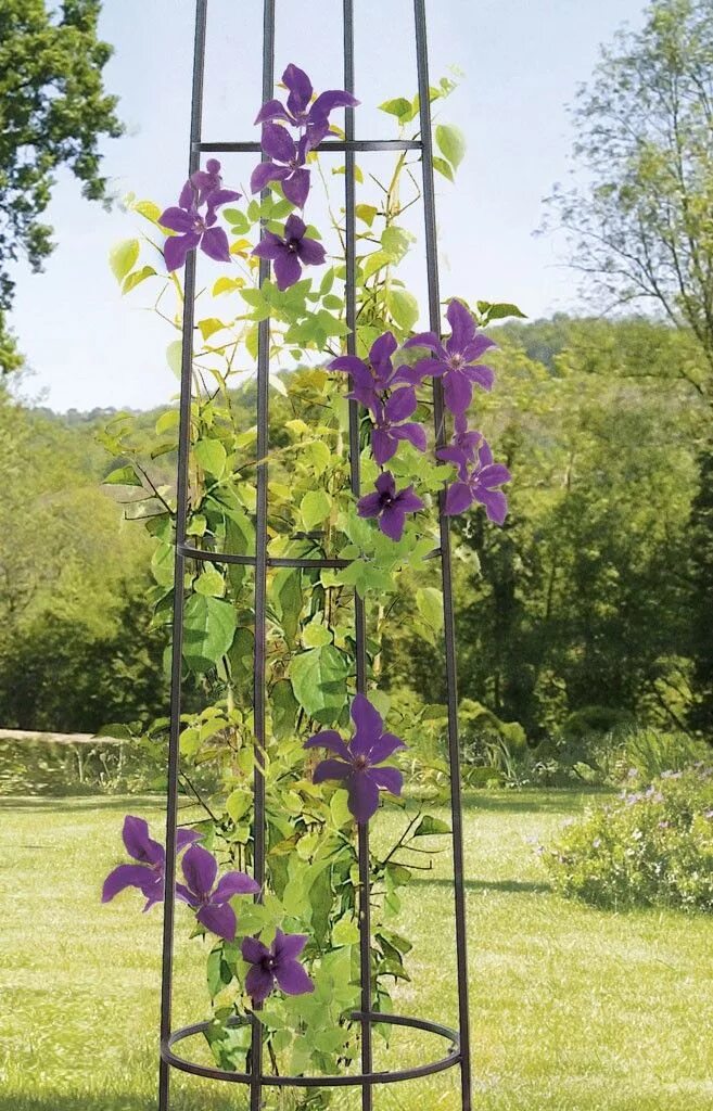 Подставка под клематис фото Tuteur colonne OBELISK Metal garden trellis, Garden trellis, Garden centerpiece