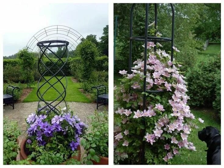 Подставки под клематисы своими руками фото Welche Rankhilfe für Clematis? Sehen Sie sich diese 10 Ideen an! Clematis, Rankh