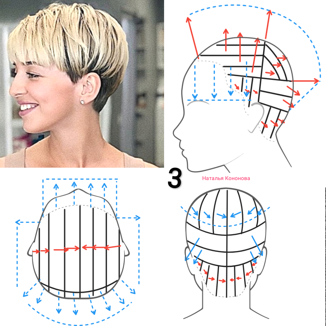 Подстричь короткую стрижку женскую пошагово Схемы стрижек коротких волос: найдено 88 картинок