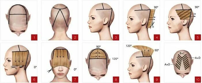 Подстричь короткую стрижку женскую пошагово Как подстричь челку схема в 2020 г Подстричь чёлку, Женские стрижки, Челки