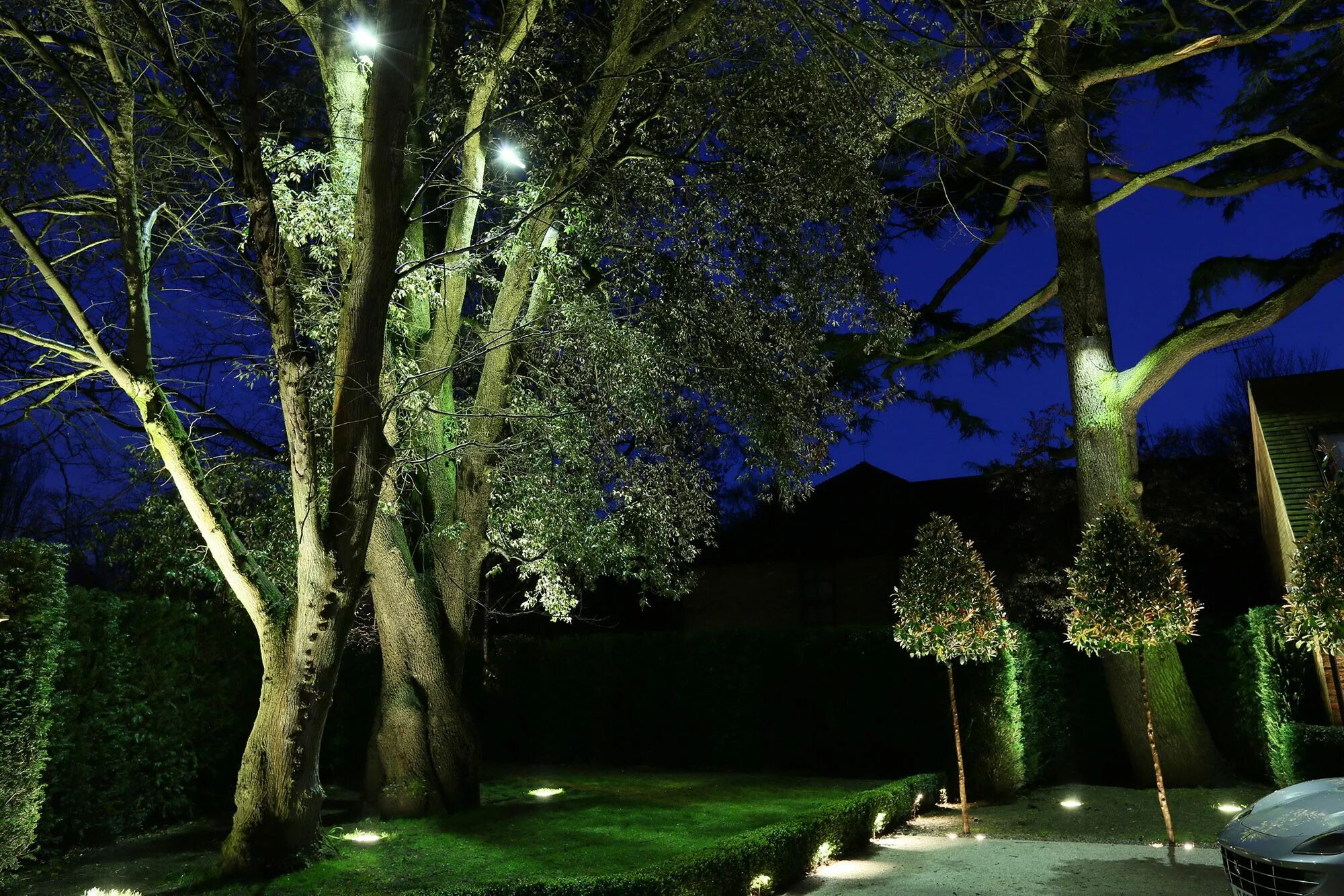 Подсветка деревьев фото Garden Lighting (6) Outdoor lighting landscape, Garden design, Outdoor lighting