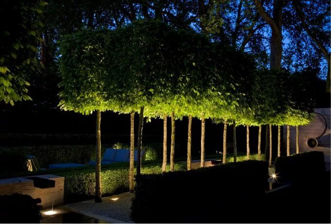 Подсветка деревьев фото Dramatic lighting Luciano Giubbilei Chelsea flower show Giardino, Paesaggi, Arch