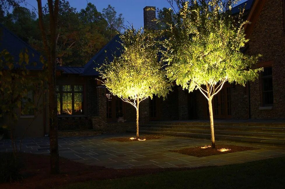 Подсветка деревьев фото Landscape & Exterior Lighting Landscape lighting design, Garden lighting design,