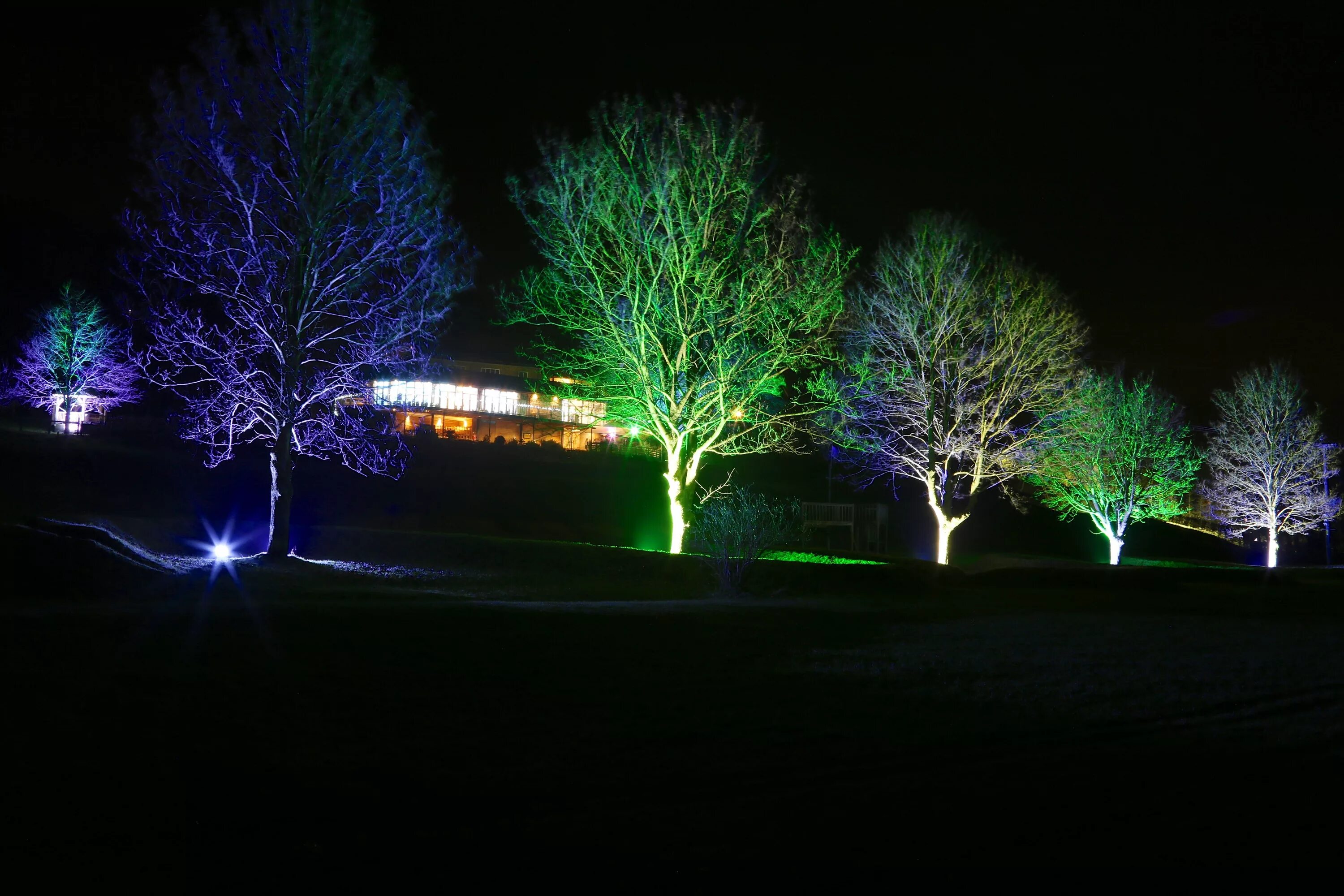 Подсветка деревьев фото Beautiful Tree Lights at Longhouse