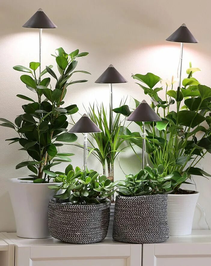 Подсветка для цветов в интерьере фото примеры SunLite led-växtlampa, grå - Kivikangas Balcony flowers, Garden plants, Patio ga