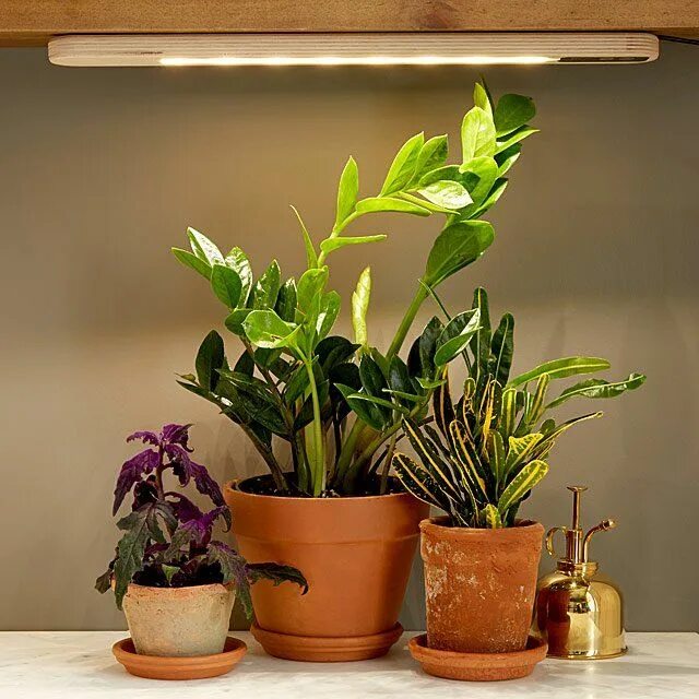 Подсветка для цветов в интерьере гостиной Hang Anywhere Grow Light Plant Light, Indoor Gardening Gifts (With images) Plant