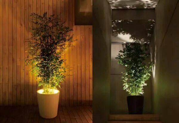 Подсветка для цветов в интерьере гостиной Illuminated Flower Pots Garden plant pots, Pot lights, Potted plants outdoor