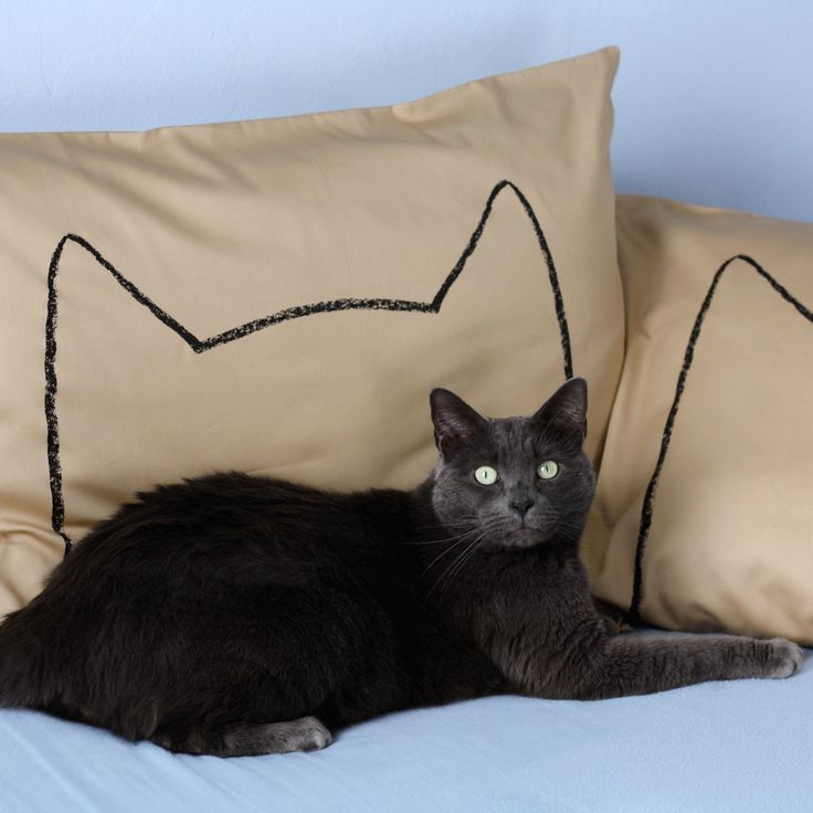 Подушечки кошки фото Cat Nap Pillowcases - Set of 2 Наволочки, Котята и Подушки