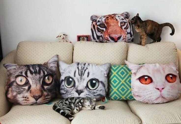 Подушка по фото кота pillows Cat pillow, Cat cushion, Crazy cats