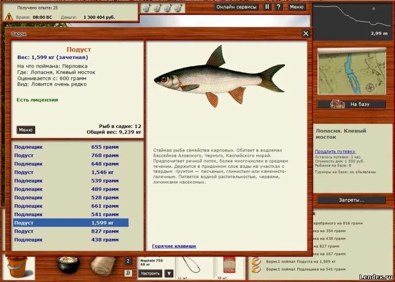 Подуст рыба на что ловить форум игры Русская рыбалка