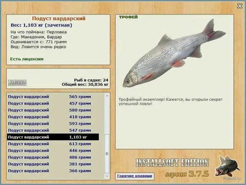 Подуст рыба на что ловить осенью Подуст: лучшие рецепты блюд с рыбой