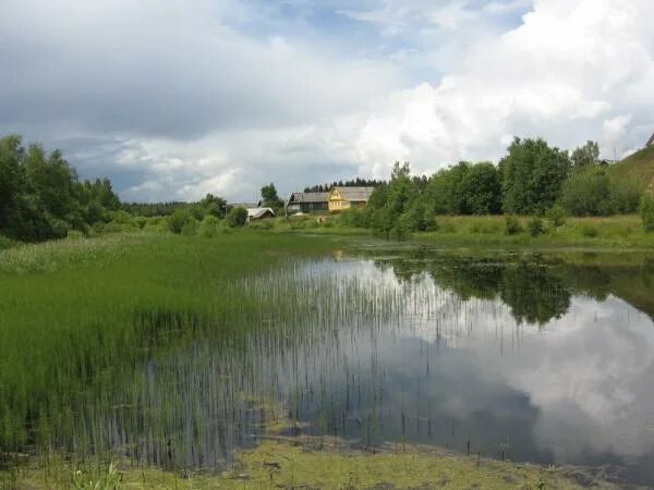 Подузово деревня жирятинского района фото Перейти на страницу с картинкой