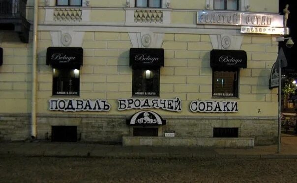 Подвал бродячей собаки фото How to close the "married dog" In March 1915, after the brawl of one young man n