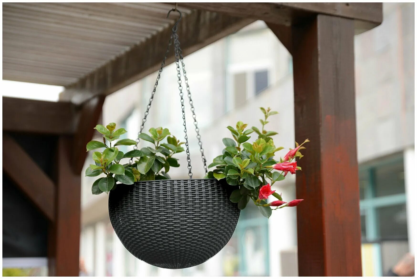 Подвесное кашпо на улице фото Подвесное кашпо под ротанг Keter Rattan Hanging графит - купить в интернет-магаз