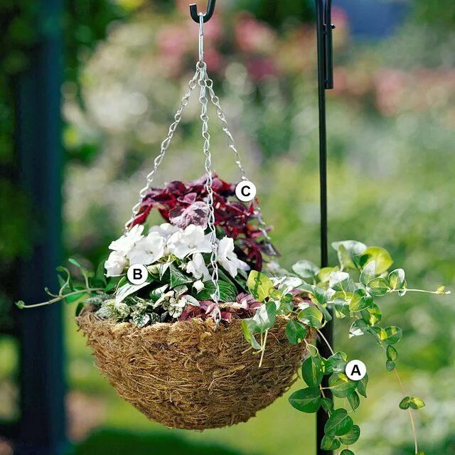 Подвесное кашпо на улице фото 25 Hanging Baskets You'll Want to Plant Immediately Hanging plants, Hanging flow