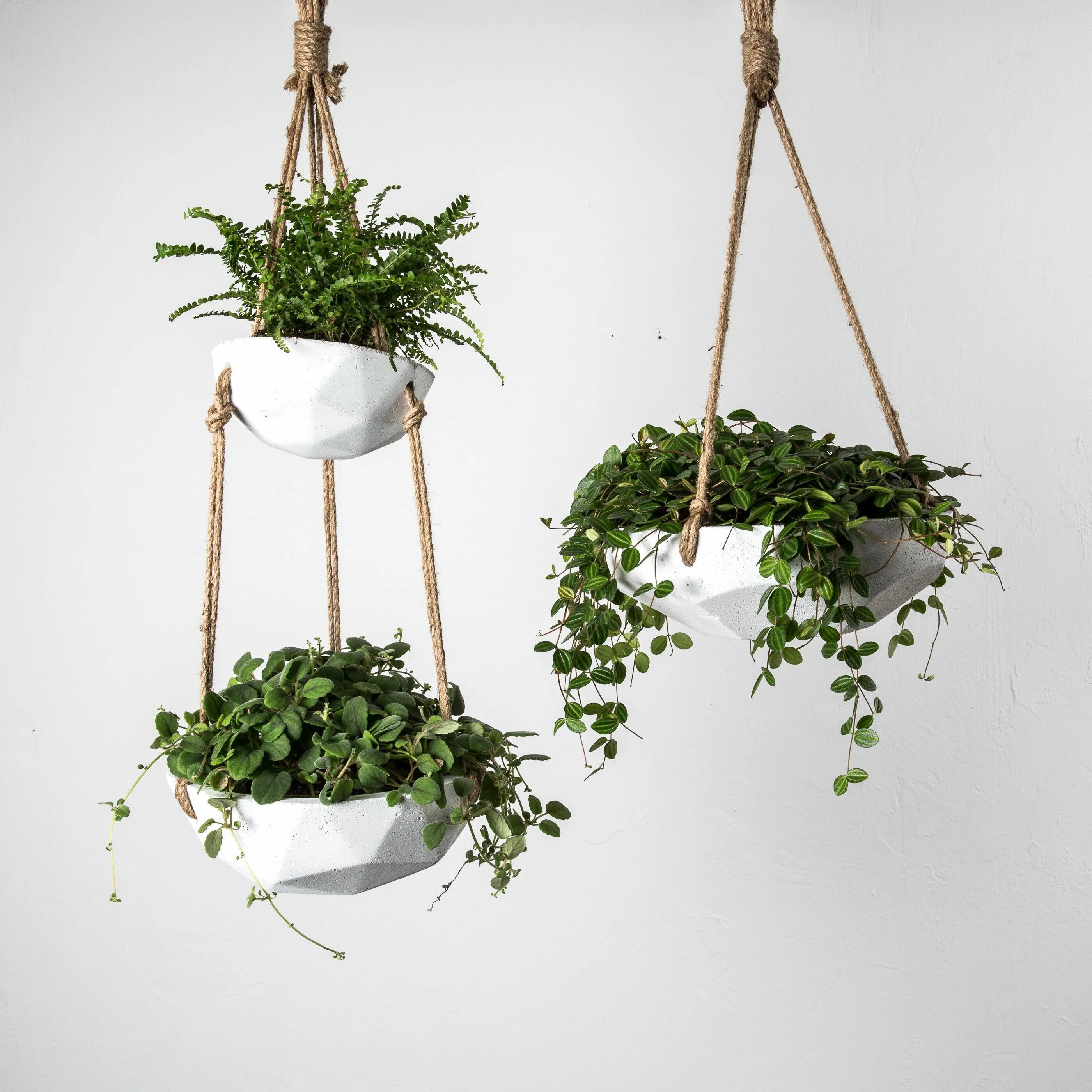 Подвесные горшки фото Arden Hanging Planter - Magnolia Market Joanna & Chip Gaines Hanging plants indo