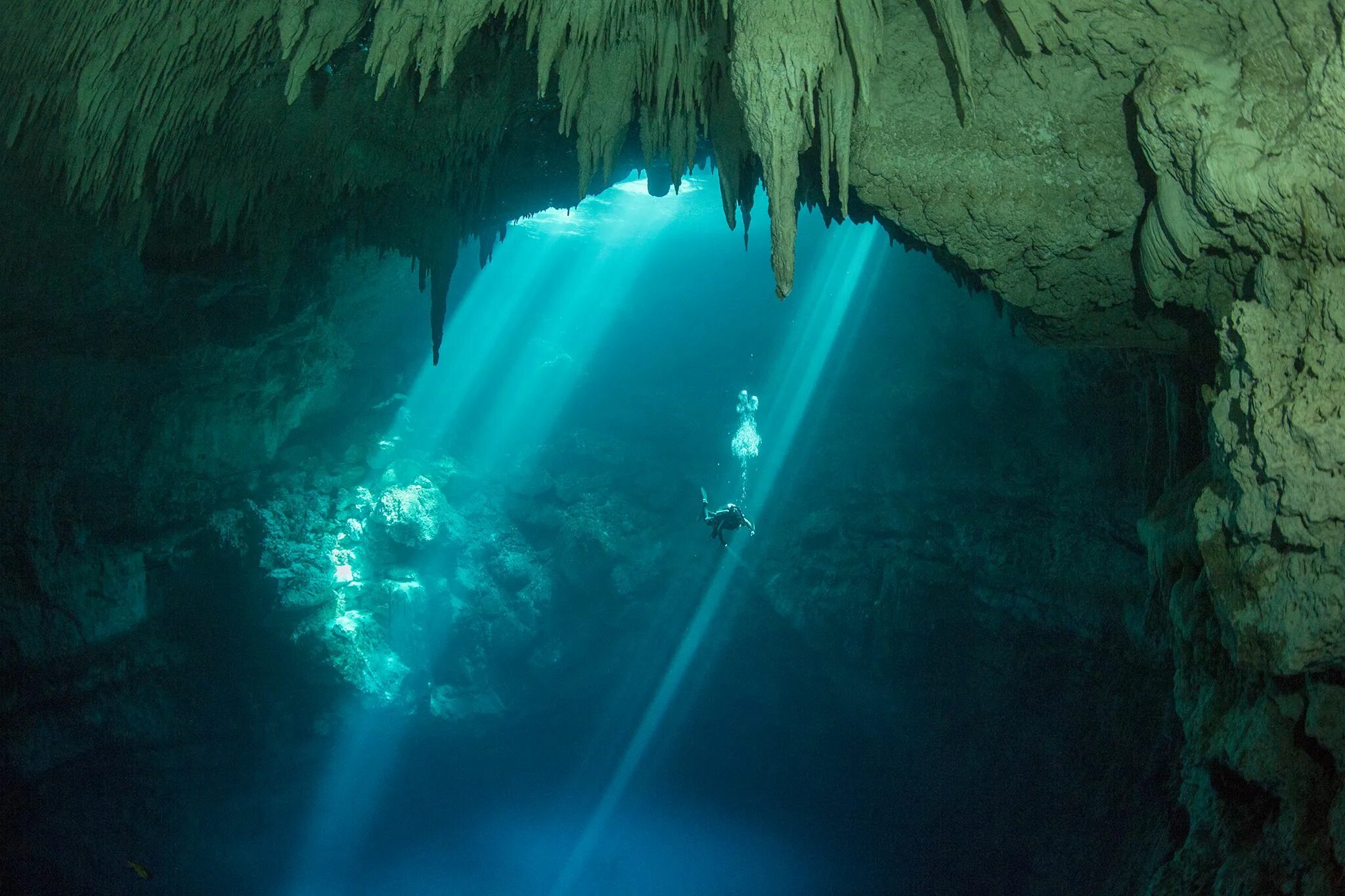 Подземные воды фото Picture of diver in cenote in Mexico National geographic, Archaeology, Mayan cit