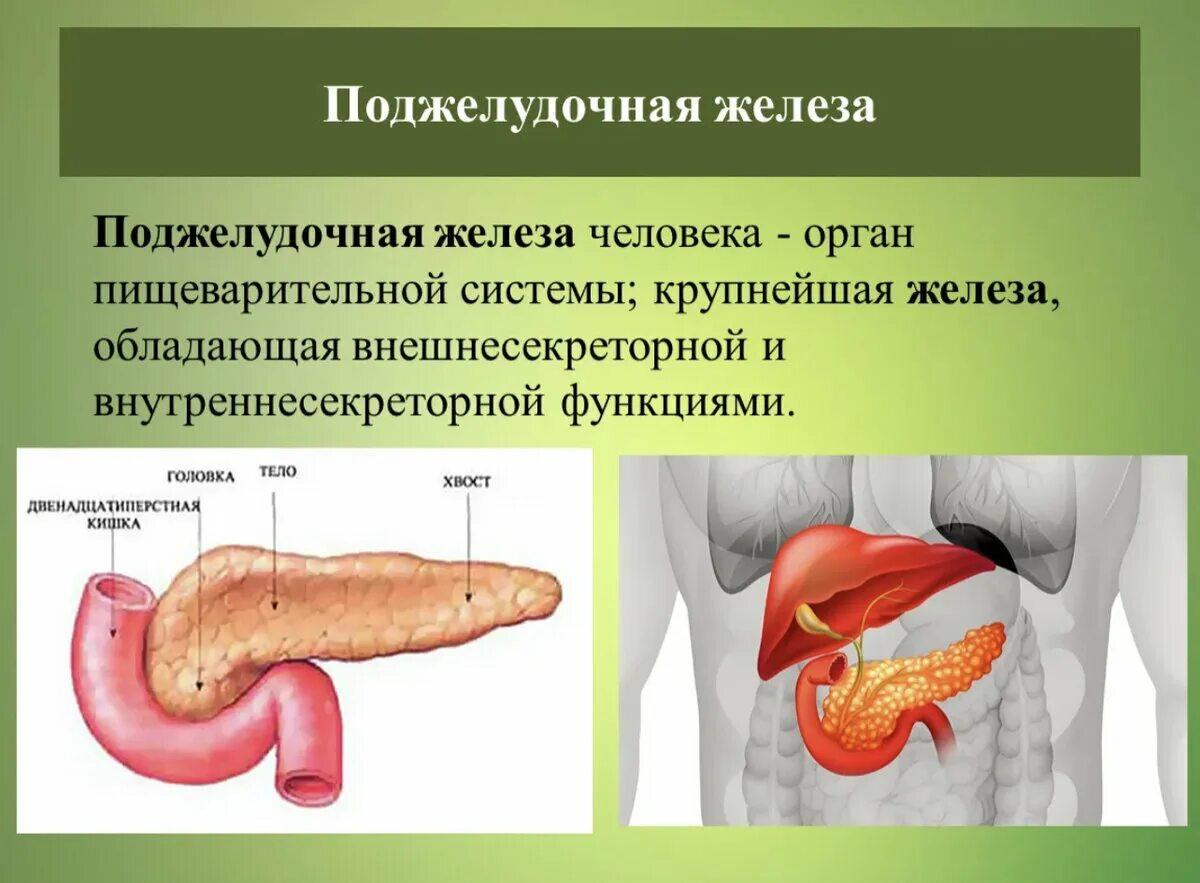 Поджелудочная железа симптомы фото 6 напитков, которые разрушают поджелудочную железу: marena99 - ЖЖ