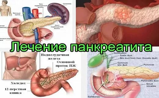 Поджелудочная железа симптомы и лечение фото Алкогольный панкреатит симптомы