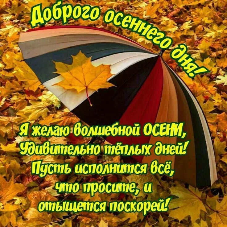 Поэтические картинки осени с пожеланиями доброго дня Пин от пользователя Krivenoktatana на доске Доброе утро! Осенние картинки, Осенн