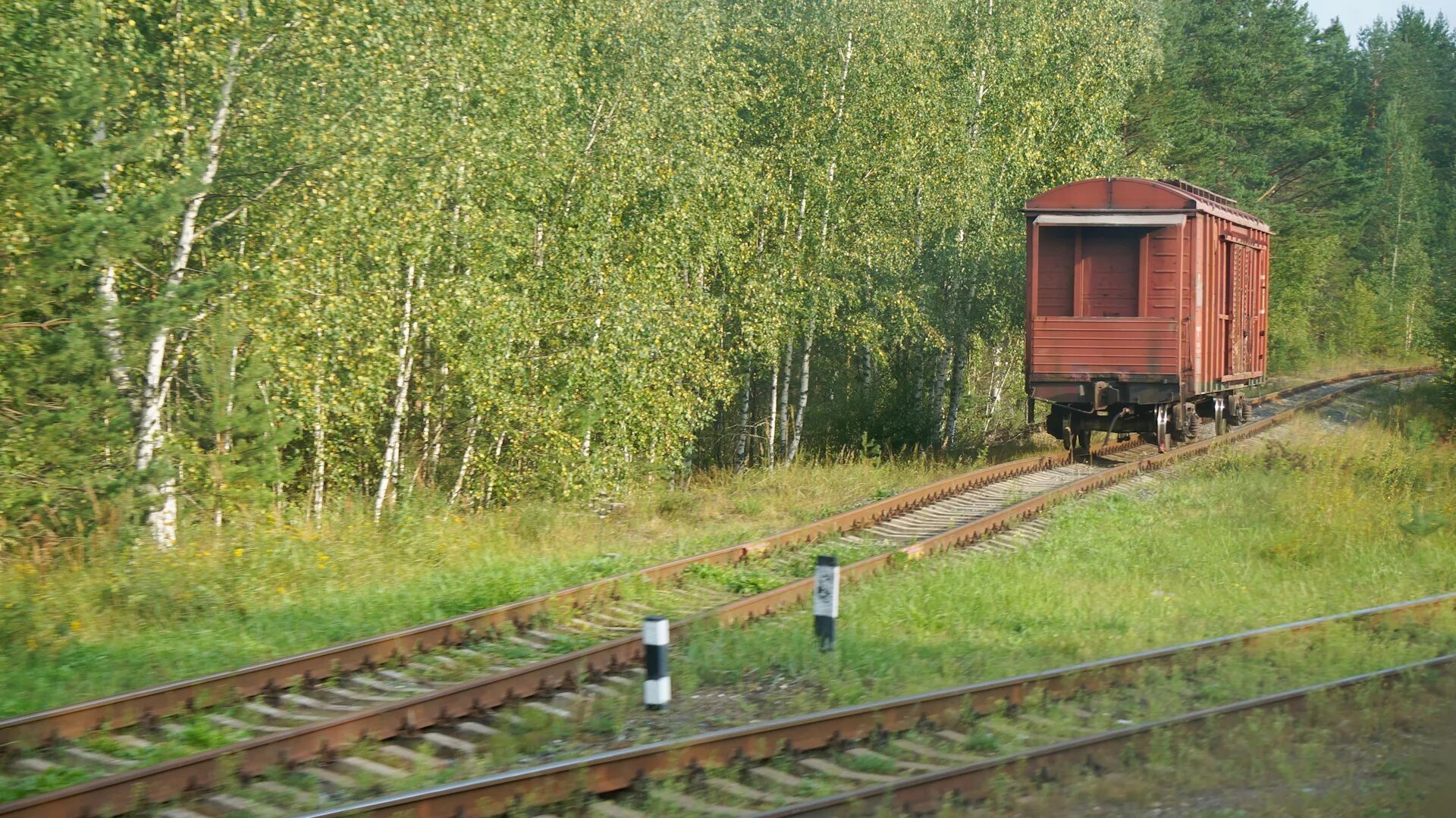 Поезд кукушка фото А вы давно путешествовали на РЕЛЬСОВОМ АВТОБУСЕ "Кукушке"?!) - Сообщество "DRIVE