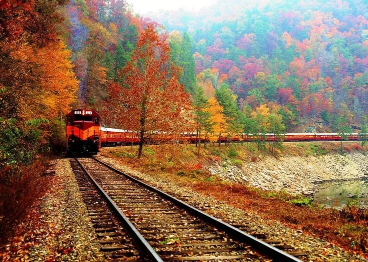 Поезд природа фото Great Smoky Mountains Railroad Scenic Train RomanticAsheville.com Scenic train r