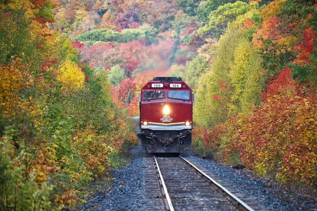 Поезд природа фото autumn, aweres township, ontario The northbound Agawa Cany. Flickr