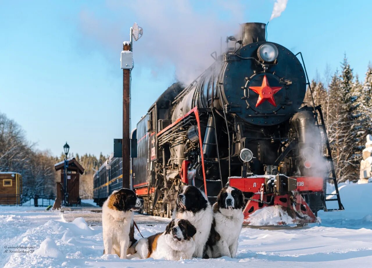 Поезд рускеала фото Every day from Sortavala at 10:40 a.m. the train "Ruskeal Express" departs, whic