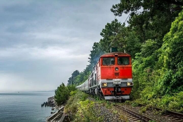 Поезд сухум фото Жители Тверской области смогут попась в Абхазию на поезде - МК Тверь