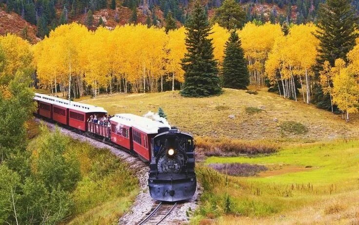 Поезд в осеннем лесу фото Pin by Reint van Dijken on Autumn trains/locomotive Scenic railroads, Scenic, Fa