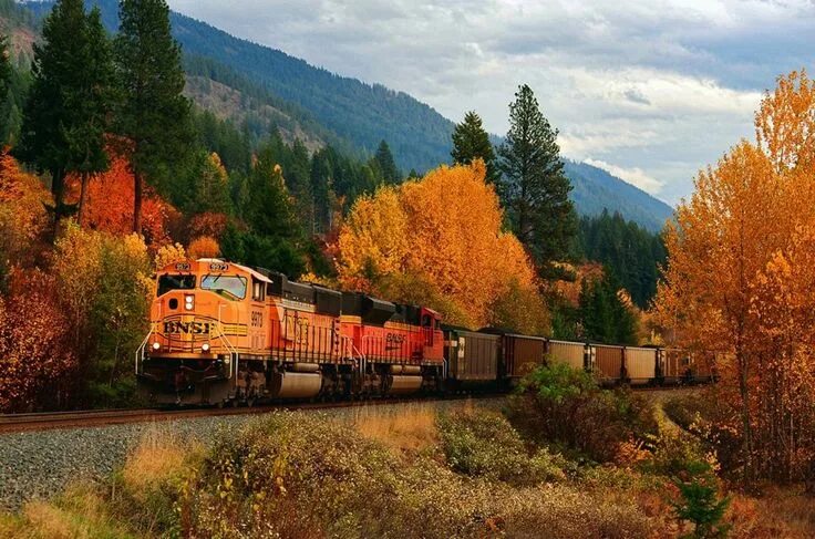 Поезд в осеннем лесу фото East Hope, Idaho, USA Romantic weekend getaways, Train rides, Train