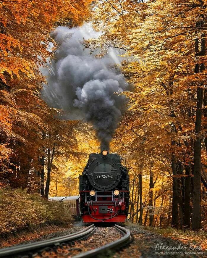 Поезд в осеннем лесу фото Steam train coming through - Awesome Viajar en tren, Entrenamiento, Fotografía d