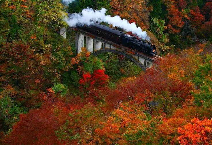 Поезд в осеннем лесу фото Autumn colors in Fukushima, Japan by Masaki Takashima Scenery, Train pictures, S