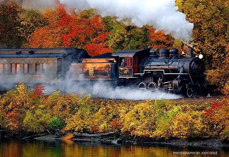 Поезд в осеннем лесу фото All tracks lead to new adventures! Train, Train rides, Steam train rides