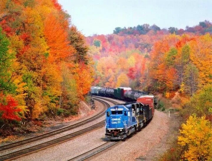 Поезд в осеннем лесу фото Conrail 3375 Train, Train pictures, Autumn scenery