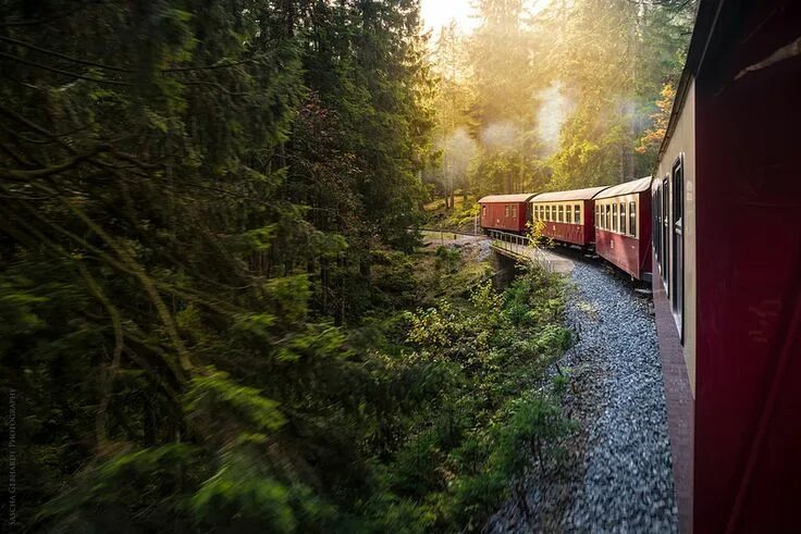 Поезд вертикальное фото Brockenbahn Rise shine, Suburban, Photos of the week